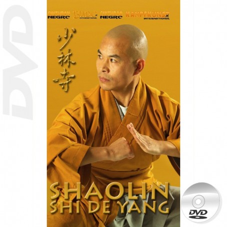 Shaolin Kung-Fu Shi De Yang Interview