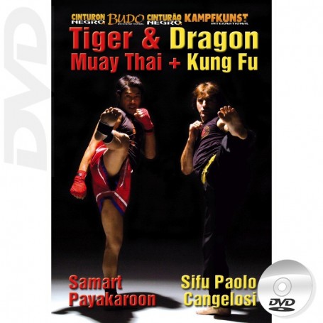 DVD Kung Fu - Muay Thai Drachen und Tiger