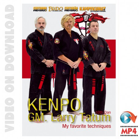 Kenpo, My Favorite Techniques