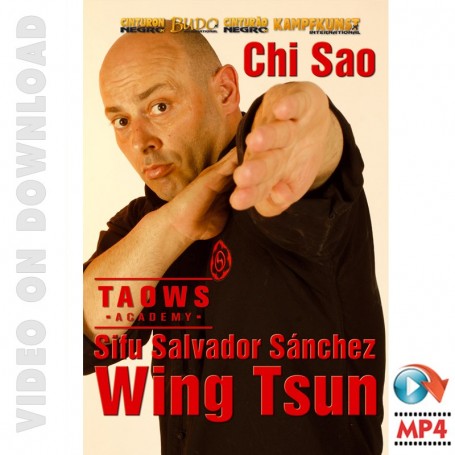 Wing Tsun Advanced TAOWS Academy