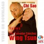 Wing Tsun Chi Sao TAOWS Academy