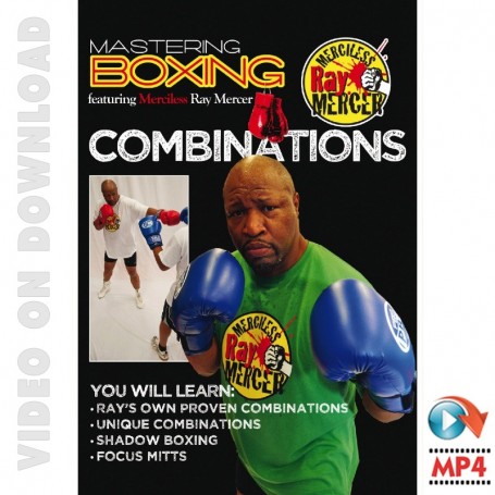 Mastering Boxing Combinations