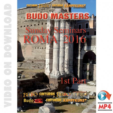 Budo Masters Meeting Artes Marciales 2016. Vol.4