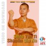 Shaolin Qin Na