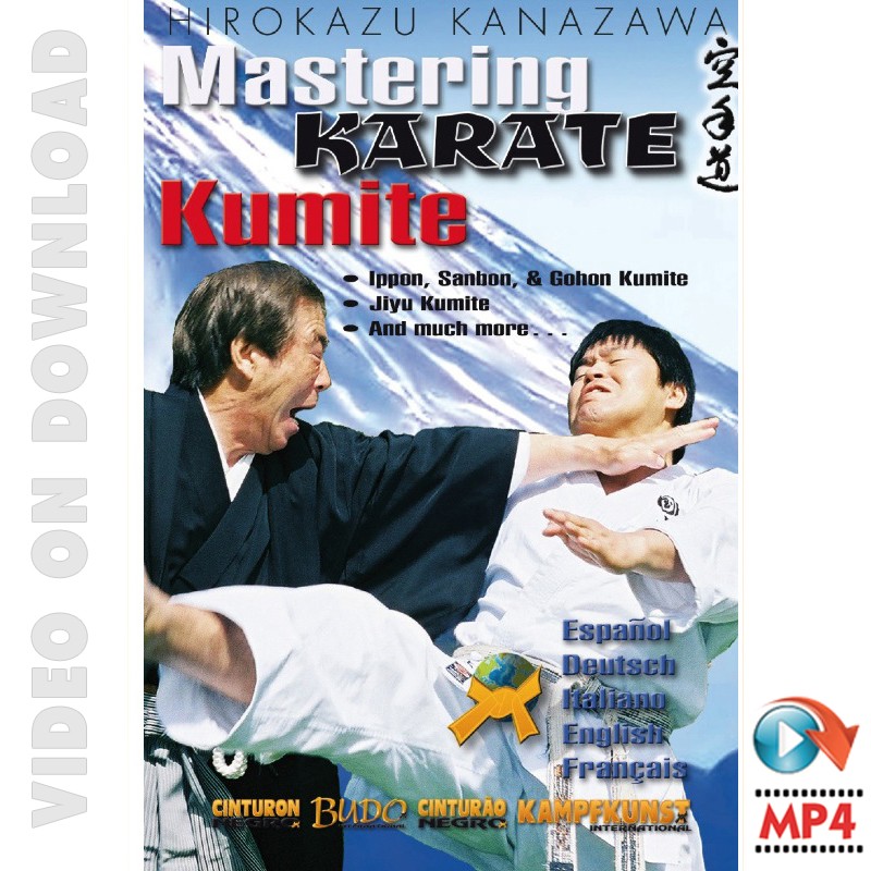 mastering-shotokan-karate-