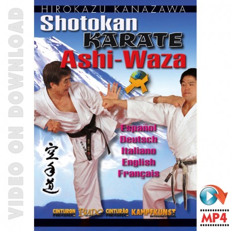 Mastering Shotokan Karate Ashi Waza. Vol.2