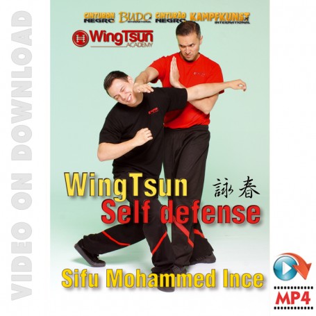 DVD Wing Tsun Defensa Personal