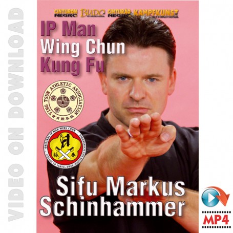 Ip Man Wing Chun Kung Fu