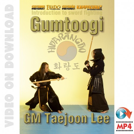 Hwa Rang Do Gumtoogi Espada