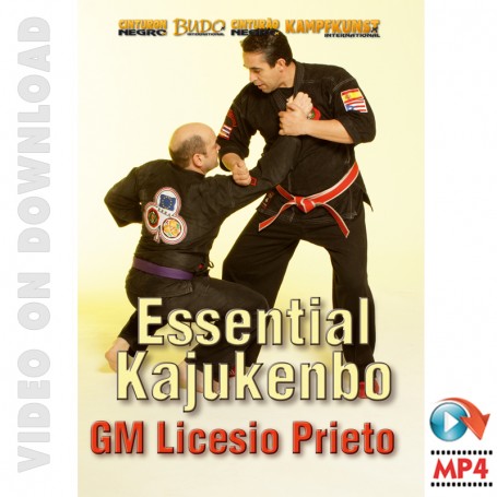 Kajukenbo Esencial