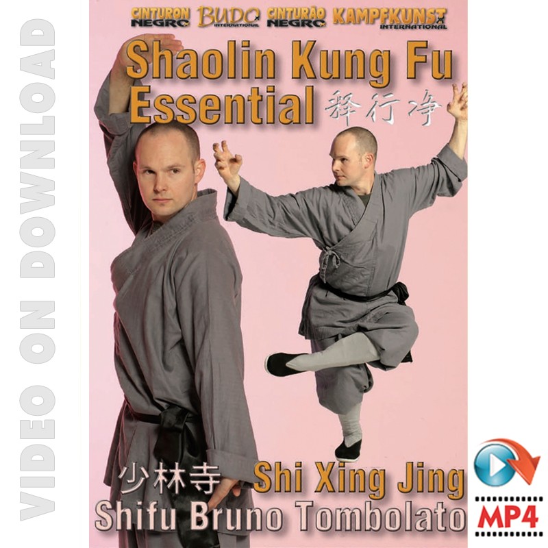 Scarica Dvd Shaolin Kung Fu Essential Bruno Tombolato