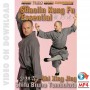 Shaolin Kung Fu Essential