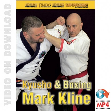 Kyusho and Boxing Connection