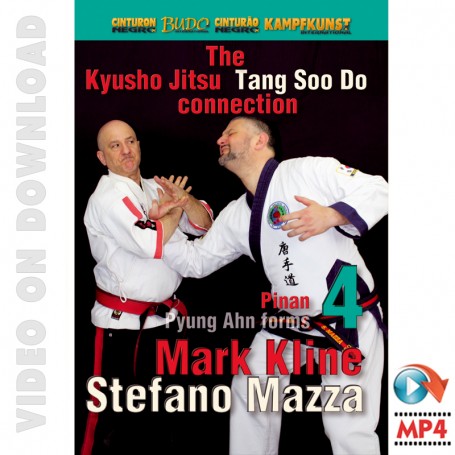 Kyusho Tang Soo Do Connection 4. Pyung Ahn Pinan Kata 4