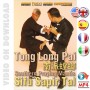 Tong Long Pai. Southern Praying Mantis