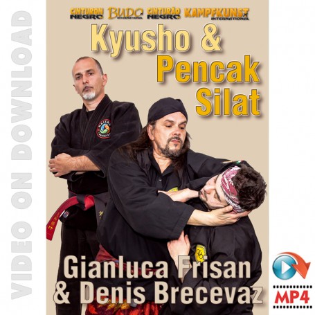 Kyusho & Pencak Silat