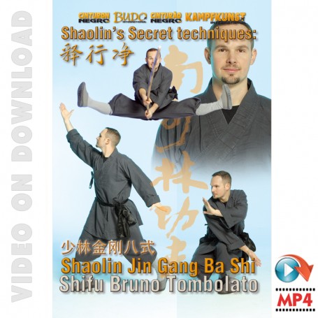 Shaolin Secret Techniques Jin Gang Ba Shi