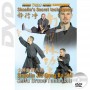 DVD Shaolin Técnicas Secretas Jin Gang Ba Shi