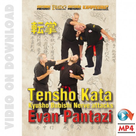 Kyusho. Tensho Kata, Attaques Nerveuses du Bubishi