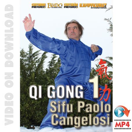Chi Kung Qi Gong Vol.1