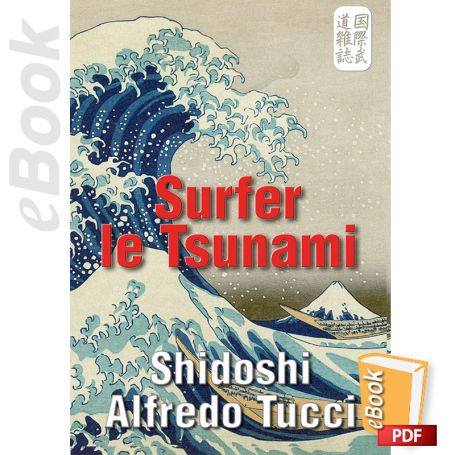 eBook Surfer le Tsunami. Français