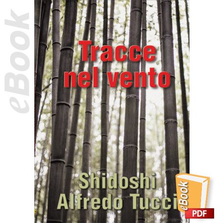 eBook Tracce nel vento. Italiano