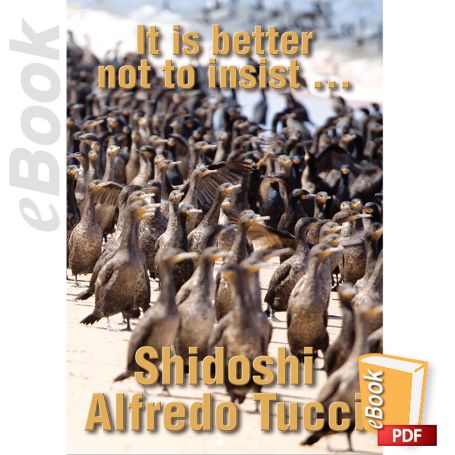 eBook It is better not to insist. English