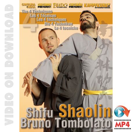 Shaolin Kung-Fu. The Four Techniques