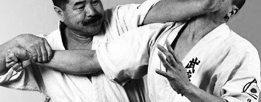DVD de otras artes marciales japonesas, tecnica, kata y aplicación