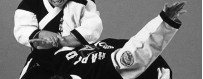 Télécharger DVD vidéos Hapkido coréen, Techniques, training