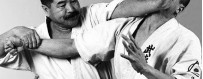 Descargar videos de otros estilos de artes marciales japonesas