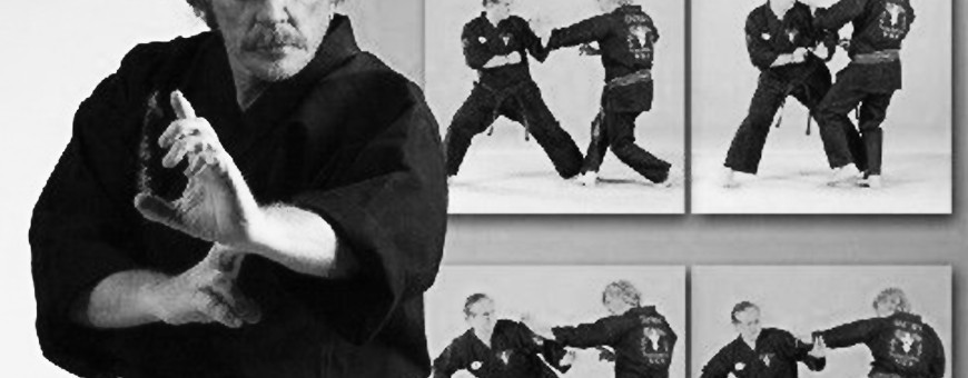 Descargar DVD videos de Kenpo Karate Americano, tecnicas, formas