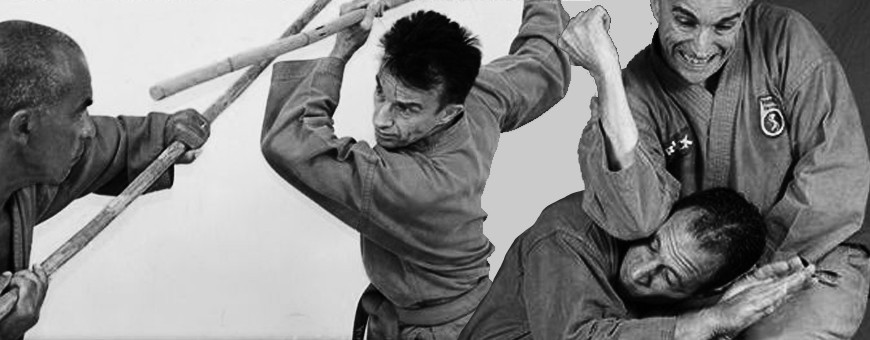 Descargar DVD videos de artes marciales vietnamitas viet vo dao