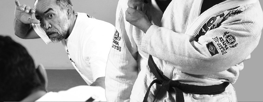 Download Brazilian Martial Arts videos. Training and techniques