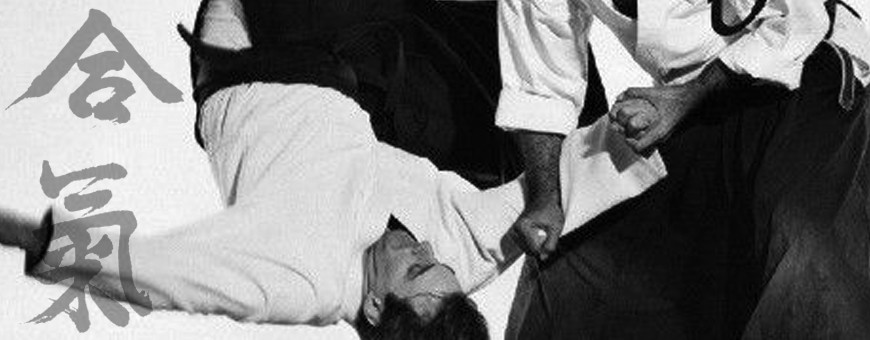 Descargar DVD videos de Aikido, tecnicas y entrenamiento
