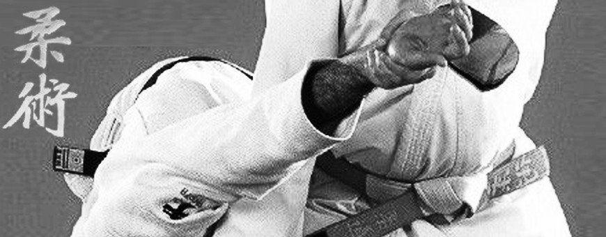 Catalogo de DVD de Judo y Ju Jitsu tradicional japones