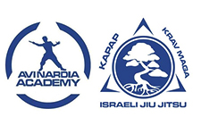 kapap krav maga