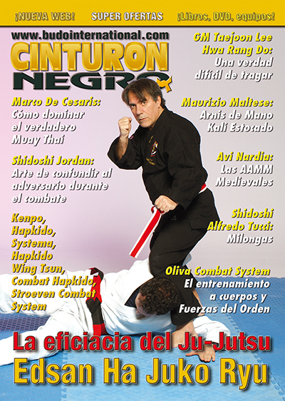 REVISTA NOVIEMBRE ARTES MARCIALES