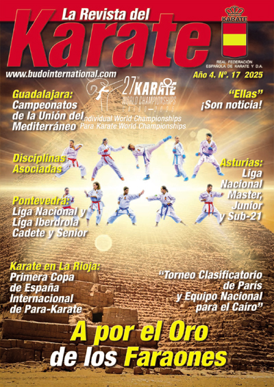 REVISTA DE KARATE RFEK 17