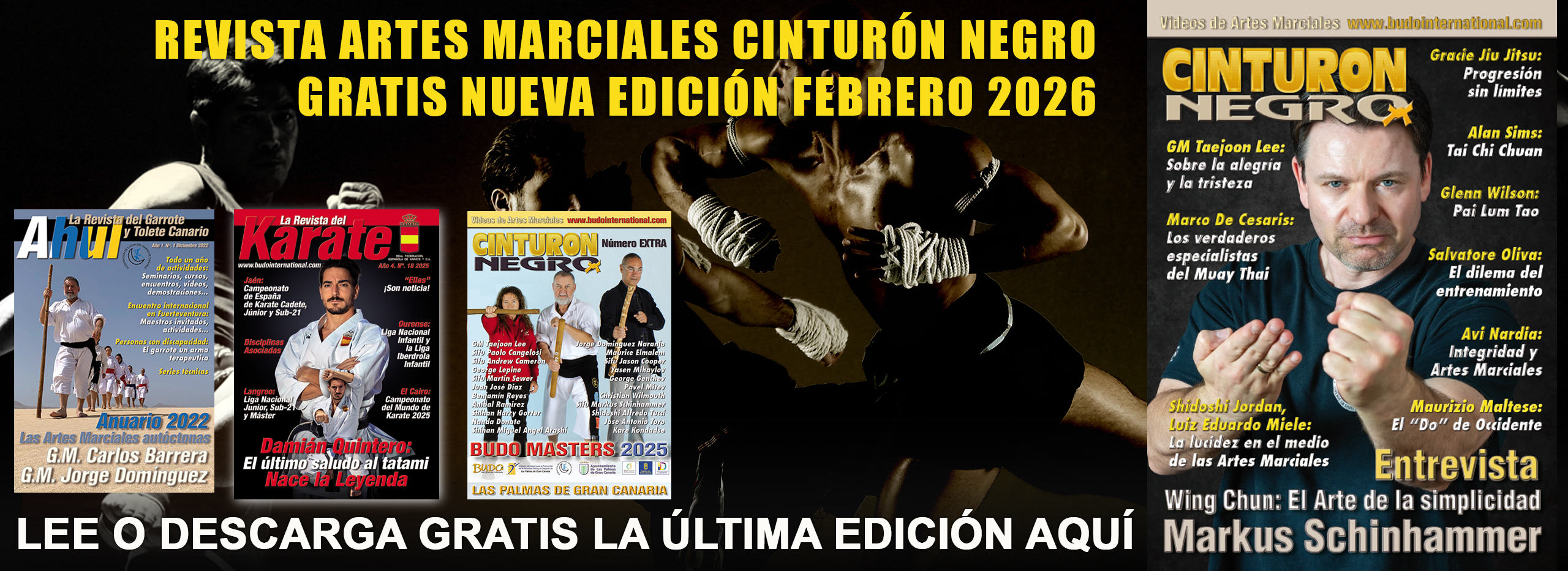 Revista Cinturón Negro artes marciales español