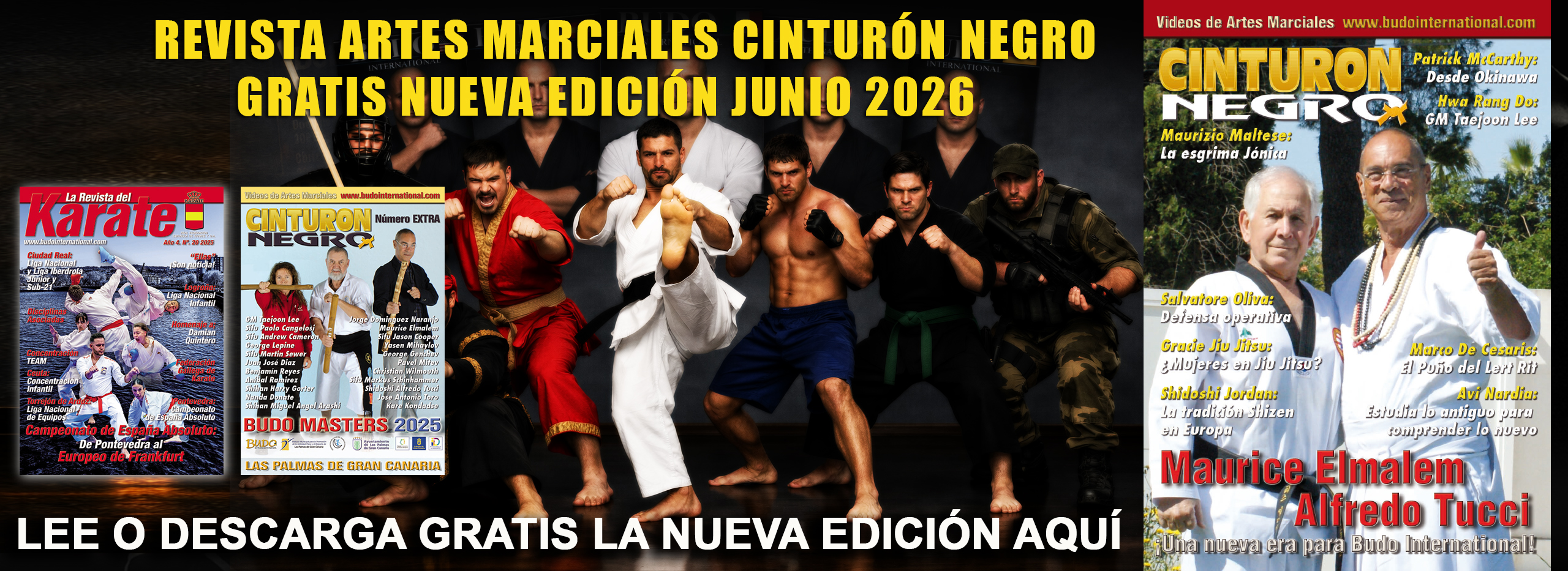 Revista Cinturón Negro artes marciales español
