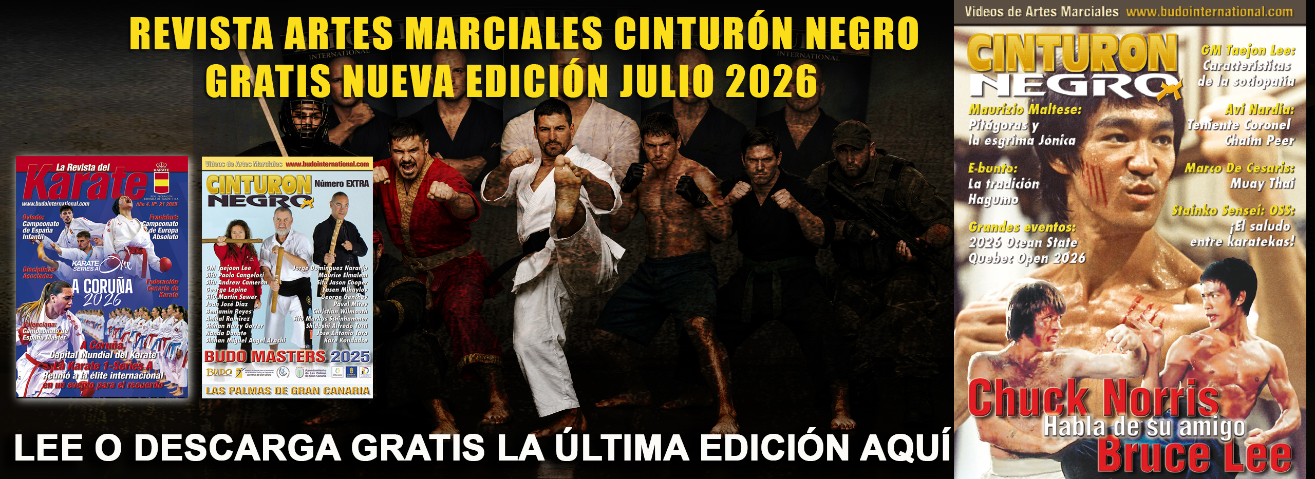 Revista Cinturón Negro artes marciales español